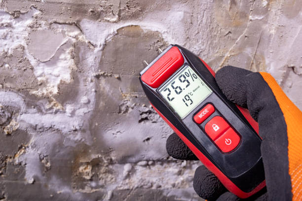 Best Insurance-Related Mold Remediation in Bethel Rk, PA